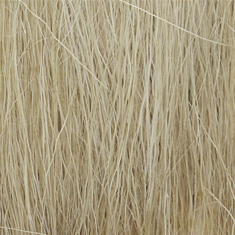 Natural Straw Field Grass