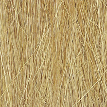 Load image into Gallery viewer, Harvest Gold Field Grass - Bachmann -WFG172
