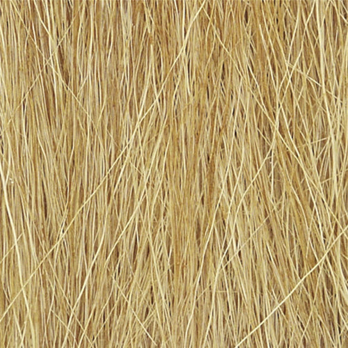 Harvest Gold Field Grass
