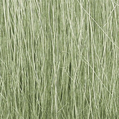 Light Green Field Grass