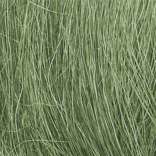 Medium Green Field Grass