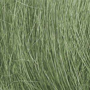 Medium Green Field Grass