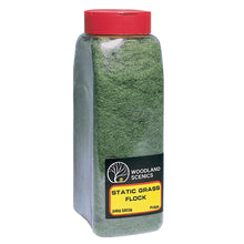 Load image into Gallery viewer, Dark Green Flock - Bachmann -WFL636
