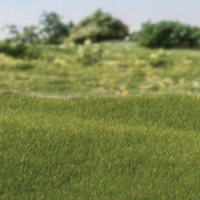 Load image into Gallery viewer, 2mm Static Grass Dark Green - Bachmann -WFS613
