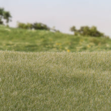 Load image into Gallery viewer, 2mm Static Grass Light Green - Bachmann -WFS615
