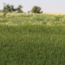 Load image into Gallery viewer, 4mm Static Grass Dark Green - Bachmann -WFS617
