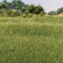 Load image into Gallery viewer, 4mm Static Grass Medium Green - Bachmann -WFS618
