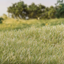 Load image into Gallery viewer, 7mm Static Grass Light Green - Bachmann -WFS623
