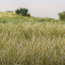 Load image into Gallery viewer, 12mm Static Grass Light Green - Bachmann -WFS627
