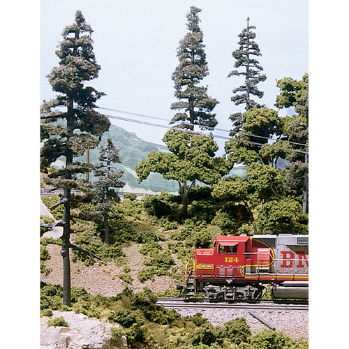 Realistic Trees Learning Kit