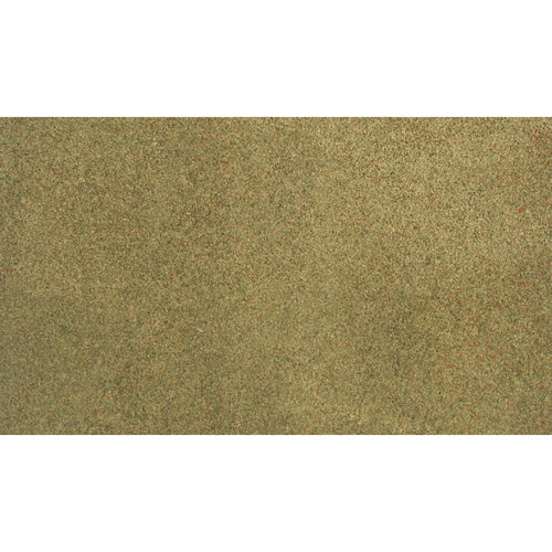 50x100