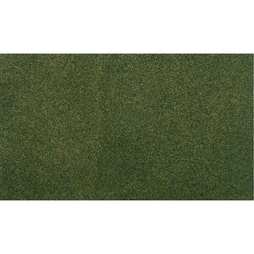 33x50