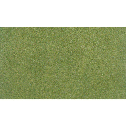25x33