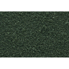 Load image into Gallery viewer, Weeds Fine Turf - Bachmann -WT1346
