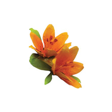 Load image into Gallery viewer, Pollen - Orange - Bachmann -WT4646
