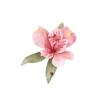 Load image into Gallery viewer, Pollen - Red - Bachmann -WT4647
