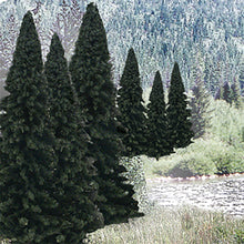 Load image into Gallery viewer, 2&quot;-4&quot; Ready Made Evergreen Value Pack (18/Pk)
