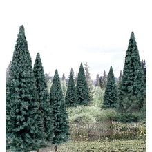 Load image into Gallery viewer, 4&quot;-6&quot; Ready Made Blue Spruce Value Pack (13/Pk)
