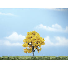 Load image into Gallery viewer, 4&quot; Premium Fall Beech (1/Pk)
