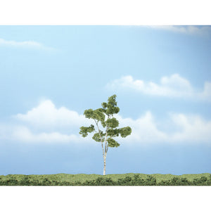 4 1/8" Premium Paper Birch (1/Pk)