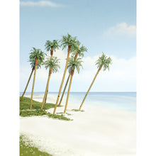 Load image into Gallery viewer, 3&quot;-4Ã‚Â½&quot; Premium Royal Palm (3/Pk) - Bachmann -WTR1617
