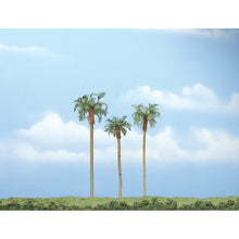 Load image into Gallery viewer, 3&quot;-4½&quot; Premium Royal Palm (3/Pk)
