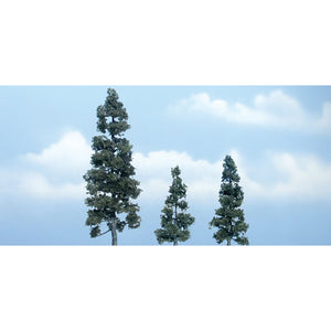 2½"-5 1/8" Premium Juniper (3/Pk)