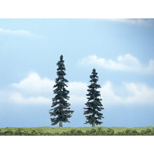 Load image into Gallery viewer, 4&quot;-5&quot; Premium Spruce (2/Pk)
