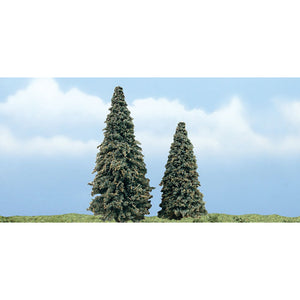 3"-4" Premium Conifer (2/Pk)