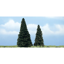 Load image into Gallery viewer, 4&quot;-5&quot; Premium Evergreen (2/Pk)
