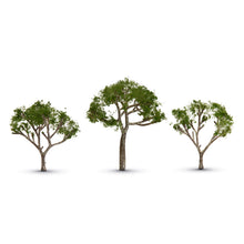 Load image into Gallery viewer, Gum Tree 2 1/2� “ 3 1/2�
