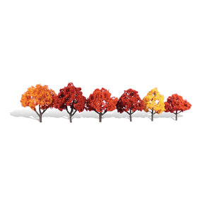 3"-5" Classic Harvest Blaze (6/Pk)