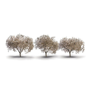 1¾"- 2¼" Cherry Blossom Trees (3/Pk)