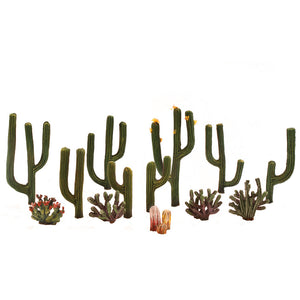 ½"-2½" Classic Cactus Plants 1(3/Pk)
