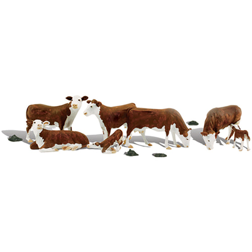 HO Hereford Cows