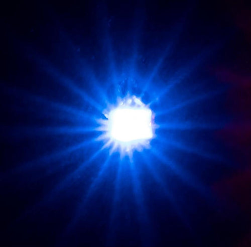 Self Flashing LEDs Blue (5)