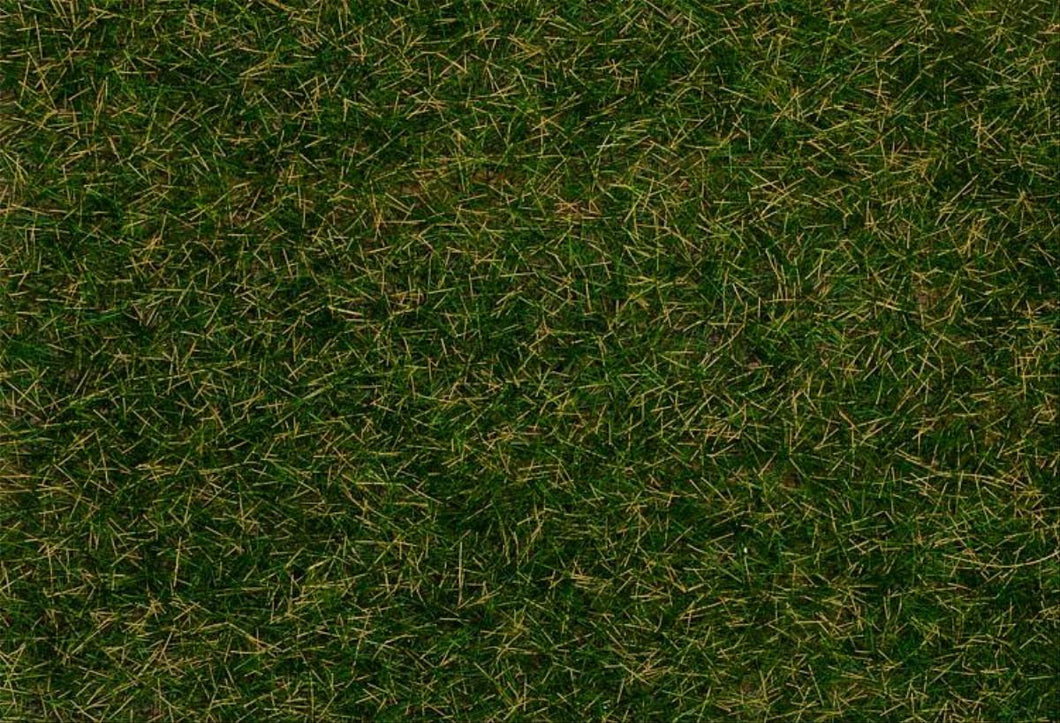 Dark Green Wild Grass Fibres 4mm (30g) - Faller - 170208