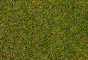Early Summer Lawn Wild Grass Fibres 4mm (1kg) - Faller - 170256