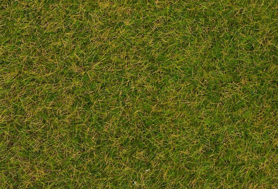 Early Summer Lawn Wild Grass Fibres 4mm (1kg) - Faller - 170256