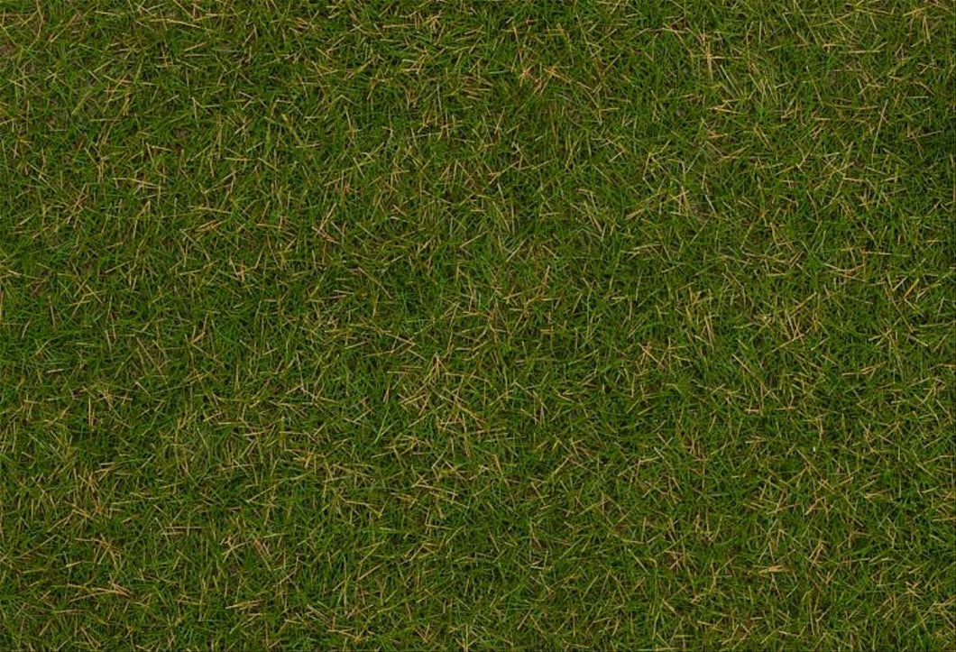 Summer Lawn Wild Grass Fibres 4mm (1kg) - Faller - 170257