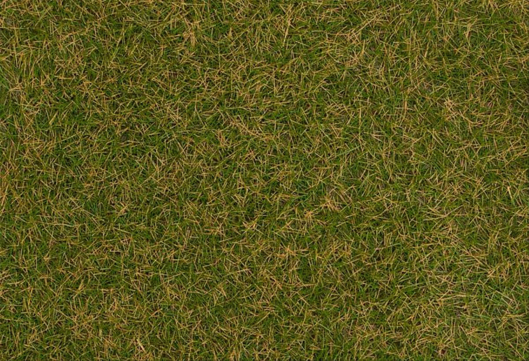 Brownish Green Wild Grass Fibres 4mm (1kg) - Faller - 170259