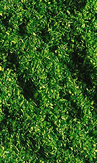 Spring Green Scatter Material (30g)