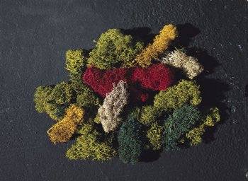 Assorted Green Lichen (50g)