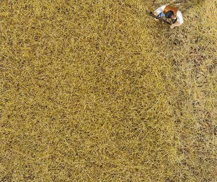 Hay 6mm Premium Ground Cover Fibres (30g)