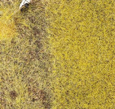 Straw 6mm Premium Ground Cover Fibres (30g)