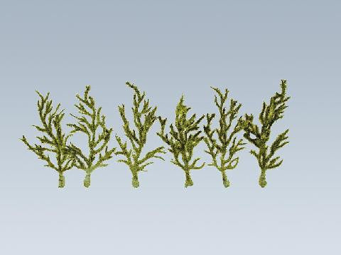 Green Premium Climbers (20)