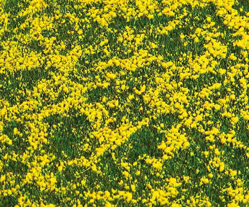 Rape Field Landscape Segment 210x148x6mm
