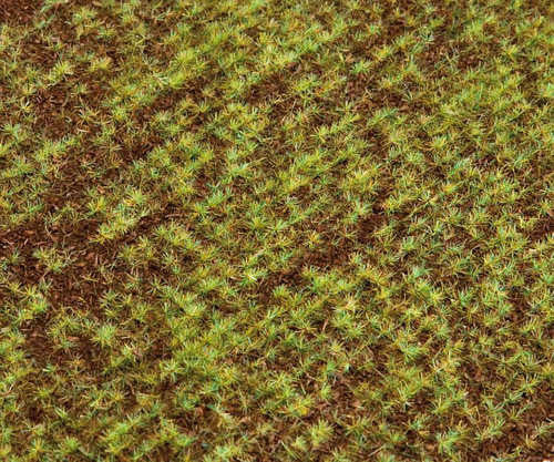 Field Landscape Segment 210x148x3mm