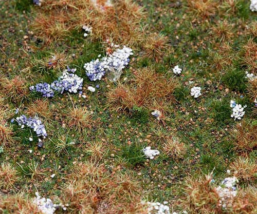 Forest Floor Landscape Segment 210x148x10mm