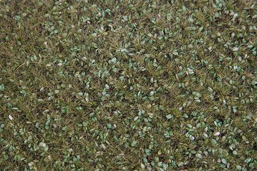 Wild Herb Field Landscape Segment 210x148x9mm